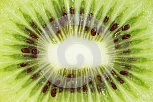 Slice of fresh kiwi fruit.