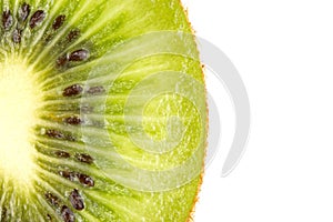 Slice of fresh kiwi fruit.