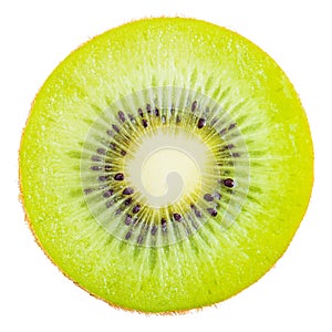 Slice of fresh kiwi fruit.