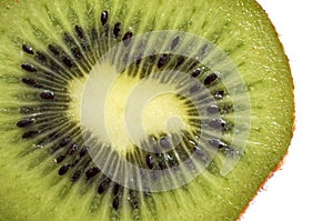 Slice of fresh kiwi fruit isolated on white background.