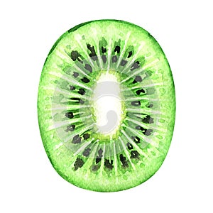 Slice of fresh kiwi fruit isolated on white background