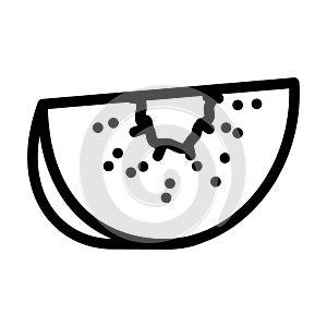 slice fresh kiwi line icon vector illustration