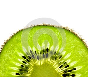 Slice of a fresh Kiwi / Super Macro