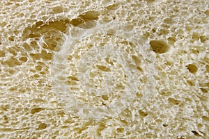 Slice of freshly baked wheat bread texture close up