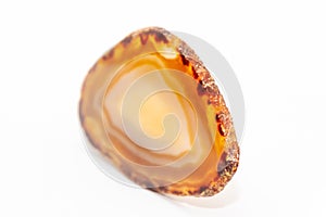 Slice of gem thin cut piece in different tones of yellow and orange and natural edges