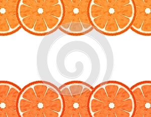 Slice grapefruit border