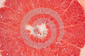 Slice of grapefruit close-up macro copy space