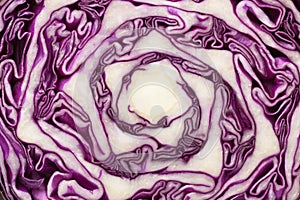 Slice head red cabbage macro background. close up