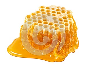 Slice of honeycomb isolated on white background