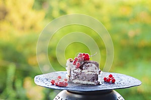 Slice of ice cream tiramisu cake with cranberries