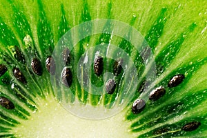 Slice of juicy kiwi fruit