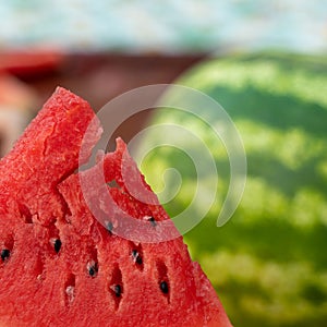 A slice of juicy red watermelon with black seeds on the background of a green whole watermelon