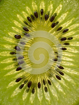 Slice of kiwi fruit with backlight, close-up photo of a kiwi, raw green fruit