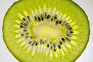 Slice of kiwi fruit with backlight, close-up photo of a kiwi, raw green fruit