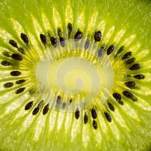Slice of kiwi fruit with backlight, close-up photo of a kiwi, raw green fruit