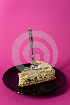 Slice of layer cake with cream and chocolate chips - hot pink background