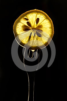 Slice of lemon on the fork on dark black background. silhouette of a fork in the back light