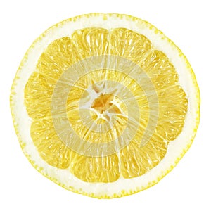 Slice of lemon fruit