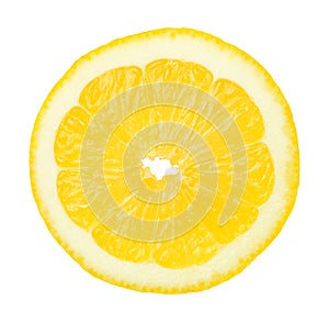Slice of Lemon Fruit Isolated on White Background
