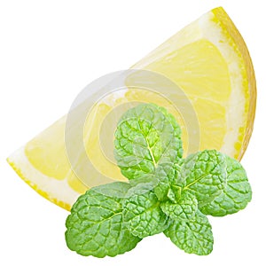 Slice lemon fruit with mint leaves isolated on white