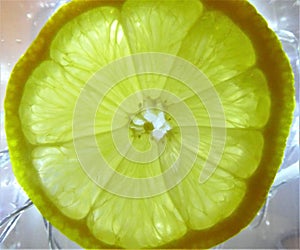 Slice of Lemon on ice
