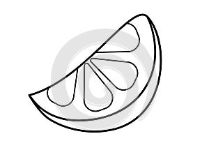 A slice of lemon or lime. Slice of citrus - vector linear image. Outline. Hand drawing.