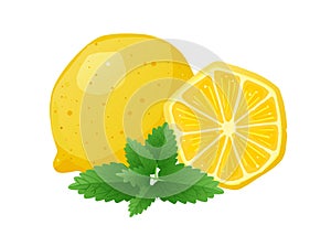 Slice of lemon and mint leaves cartoon illustration template. Stylized flat vector elements in yellow, white and green