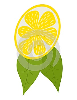 Slice of lemon with two green leaves isolated on white background. Citrus fruit and leaves vector illustration