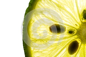 Slice of lime on white photo