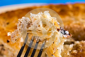 Slice of meat burek pie on the fork closeup macro