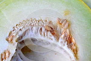 slice melon seeds ,  close up