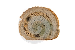 Slice of moldy bread