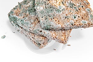 Slice of moldy bread, rotten and uneatable. Studio shot