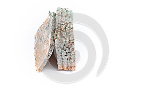Slice of moldy bread, rotten and uneatable. Studio shot
