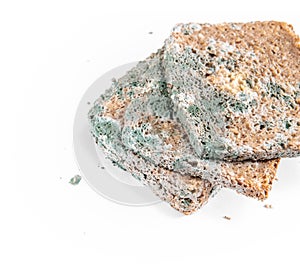 Slice of moldy bread, rotten and uneatable. Studio shot