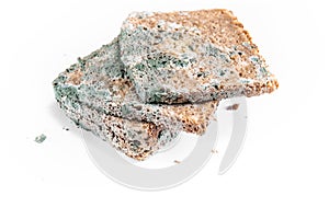 Slice of moldy bread, rotten and uneatable. Studio shot