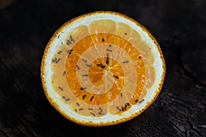 A slice of orange with ants crawling on it