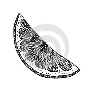 Slice of Orange Fruit. Hand drawn vector illustration of juicy citrus food in black and white colors. Cut of tangerine