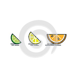 Slice orange or tangerine lemon and lime fruit isolated on white background. Bright summer harvest illustration. Flat style