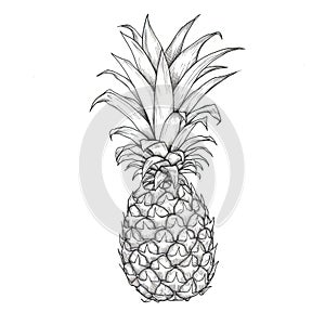 Plátek ananas vygenerované 