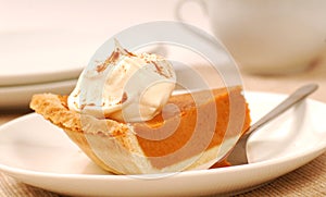 Slice of pumpkin pie with whipped cream