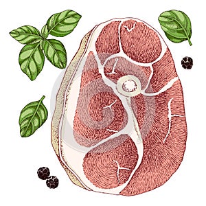 Slice of raw pork knuckle vector