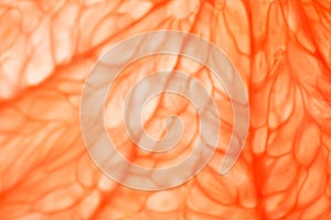 Slice of red Grapefruit. Close-up macro. So fresh