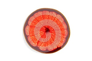 Slice of red grapefruit