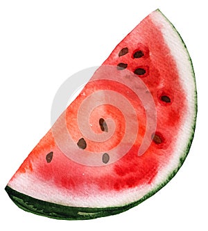 Slice of red juicy watermelon. Watercolor tropical fruit illustration