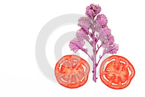 Slice red ripe tomato and cabbage tree isolated top view, fruit and vegetable concept