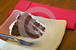 Slice of rich moist chocolate cake