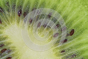 Slice of ripe kiwi fruit in water. Close-up of kiwi fruit in liquid with bubbles. Slice of ripe kiwi in sparkling water