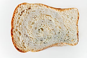 Slice of spoiled wheat bread with mold isolated on a white background
