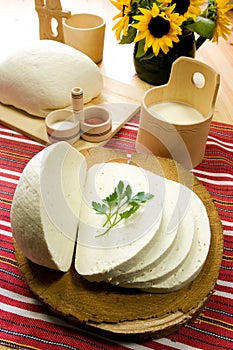 Slice of Traditional Slovak Sheep's Milk Cheese